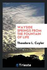 Wayside Springs from the Fountain of Life