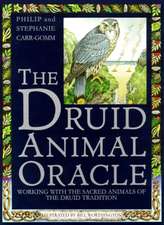 Druid Animal Oracle