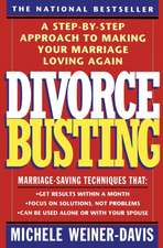 Divorce Busting