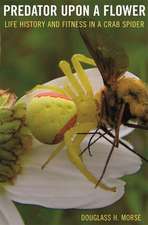 Predator upon a Flower – Life History and Fitness in a Crab Spider