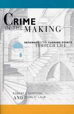 Crime in the Making – Pathways & Turning Points through Life (Paper)