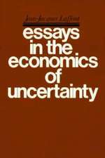 Essays on the Economics of Uncertainty