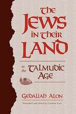 The Jews in their Land in the Talmudic Age 70–640 CE