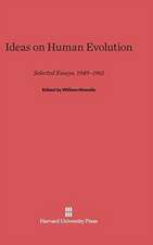 Ideas on Human Evolution