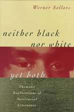 Neither Black nor White Yet Both – Thematic Explorations of Interracial Literature