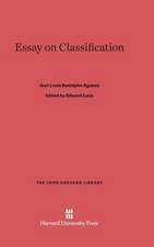 Essay on Classification