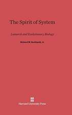 The Spirit of System