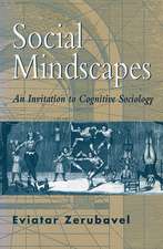 Social Mindscapes – An Invitation to Cognitive Sociology (Paper)