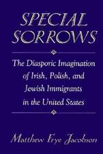 Special Sorrows – The Diasporic Imagination of Irish, Polish & Jewish Immigrants in the United States