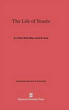 The Life of Yeasts