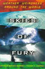 Skies of Fury