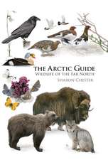 The Arctic Guide – Wildlife of the Far North