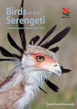 Birds of the Serengeti – And Ngorongoro Conservation Area