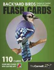 Backyard Birds Flash Cards– Eastern & Central North America