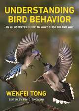 Understanding Bird Behavior – An Illustrated Guide to What Birds Do and Why