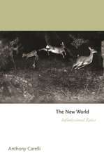 The New World – Infinitesimal Epics