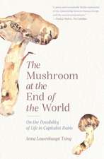 The Mushroom at the End of the World – On the Possibility of Life in Capitalist Ruins