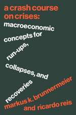 A Crash Course on Crises – Macroeconomic Concepts for Run–Ups, Collapses, and Recoveries