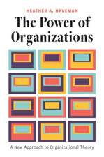 The Power of Organizations – A New Approach to Organizational Theory