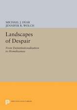 Landscapes of Despair – From Deinstitutionalization to Homelessness