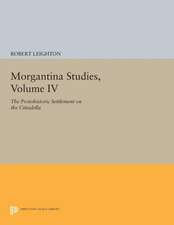 Morgantina Studies, Volume IV – The Protohistoric Settlement on the Cittadella