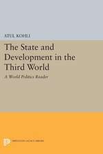 The State and Development in the Third World – A World Politics Reader