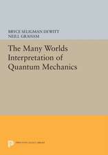 The Many–Worlds Interpretation of Quantum Mechanics