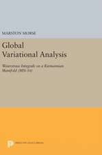 Global Variational Analysis