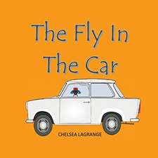 Fly in the car