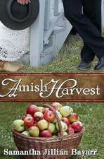 Amish Harvest