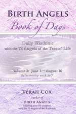 Birth Angels Book of Days - Volume 2