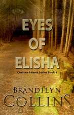 Eyes of Elisha