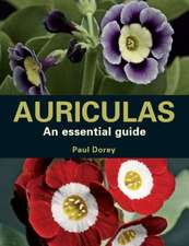 Auriculas