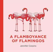 Cossins, J: A Flamboyance of Flamingos