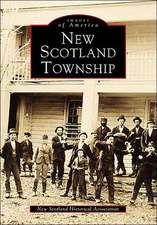 New Scotland Township