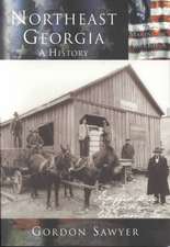 Northeast Georgia: A History