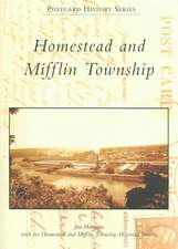 Homestead and Mifflin Township