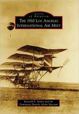 The 1910 Los Angeles International Aviation Meet