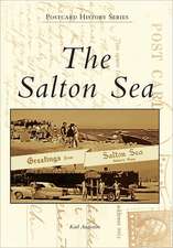 The Salton Sea