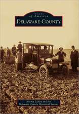 Delaware County