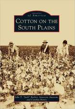 Cotton on the South Plains