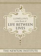 Llewellyn's Little Book of Life Between Lives