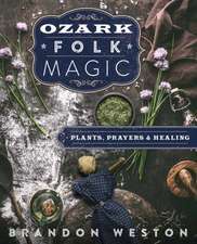 Ozark Folk Magic