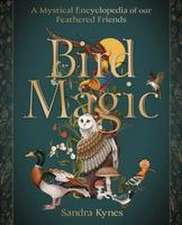 Bird Magic