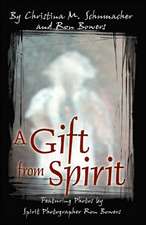 A Gift from Spirit