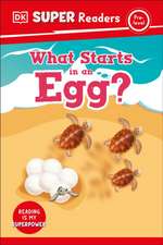 DK Super Readers Pre-Level What Starts in an Egg?