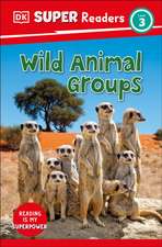 DK Super Readers Level 3 Wild Animal Groups