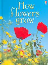 How Flowers Grow