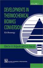 Developments in Thermochemical Biomass Conversion: Volume 1 / Volume 2