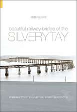 Beautiful Railway Bridge of the Silvery Tay: Reinvestigating the Tay Bridge Disaster of 1879